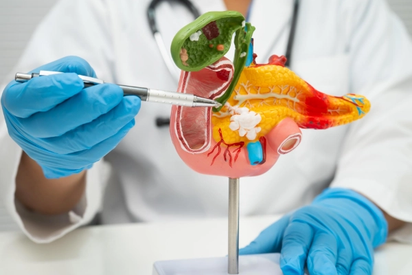 Liver & Pancreatic Surgery