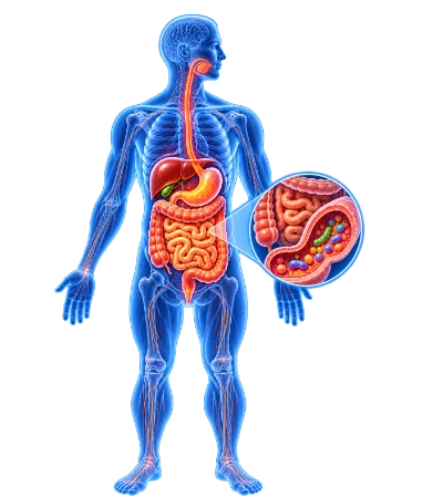 gi-laparoscopic-surgery