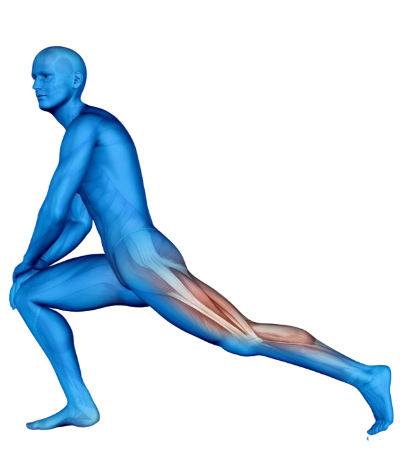 physiotherapy